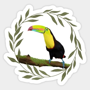 Toucan Framed Leaves Sticker